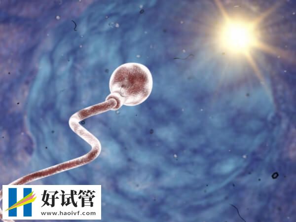 广东省妇幼可以申请供卵做试管婴儿