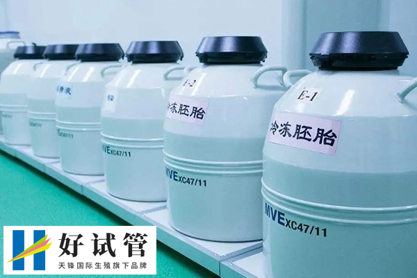 荆州市中心医院支持胚胎冷冻