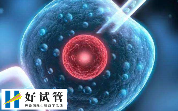 供卵自怀的最高年龄通常建议在40岁以下