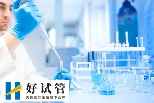 女第三代试管婴儿成功率高吗？(图1)