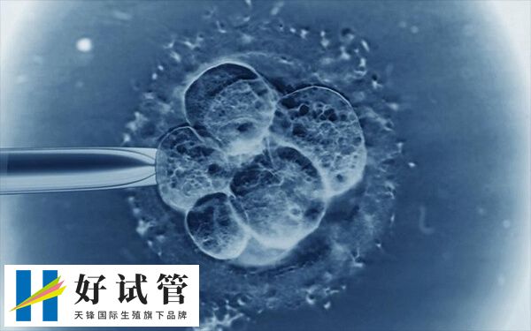 第六天的囊胚还分为不同的质量级别