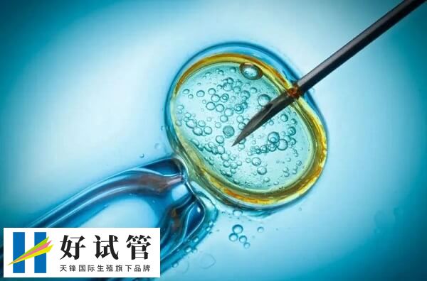 试管技术本身的操作不会导致早产率的增加