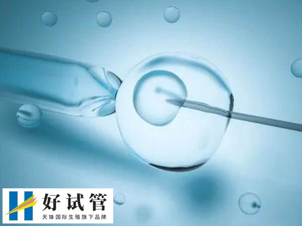 进行试管婴儿周期的过程非常漫长