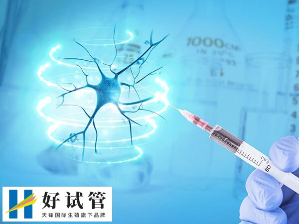 试管婴儿是一种辅助生殖技术