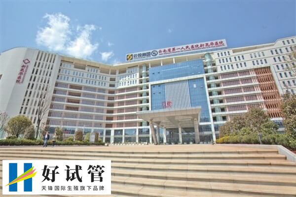 昆华医院进行试管婴儿的费用因人而异