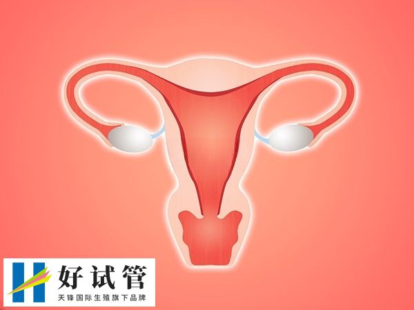 内膜厚度若是小于5mm表示降调成功