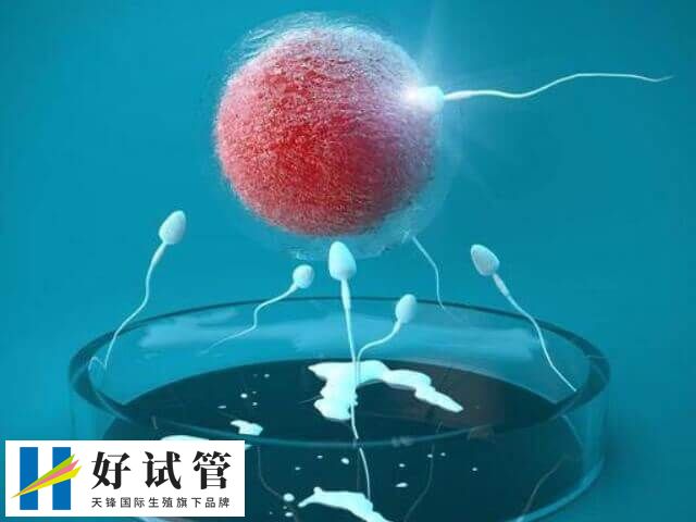 女方患HIV在国内一般不可以做三代试管婴儿