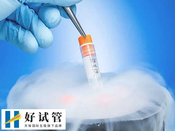 未婚单身不允许冻卵