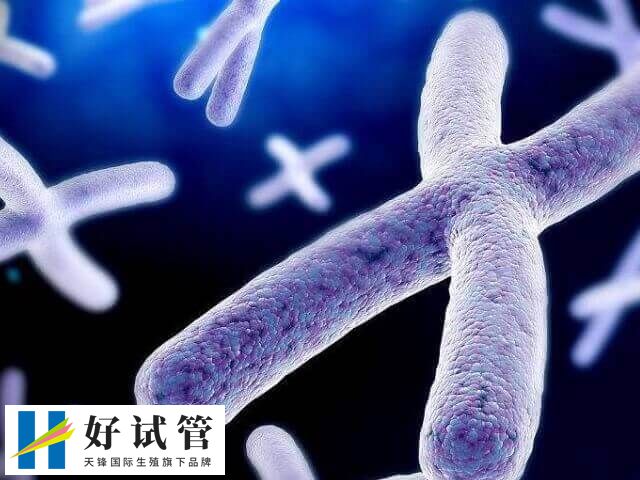 染色体非整倍体风险高