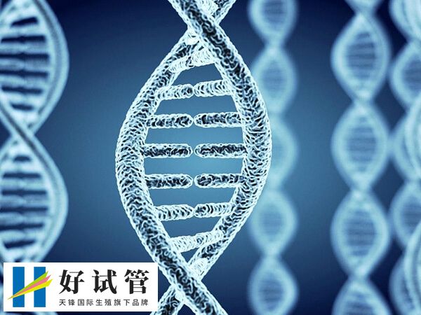 红斑狼疮属于多基因遗传的自身免疫性疾病