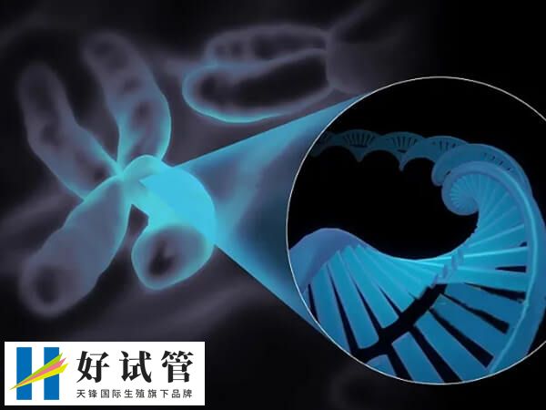 骨肉瘤发生肺部转移后5年生存率显著降低