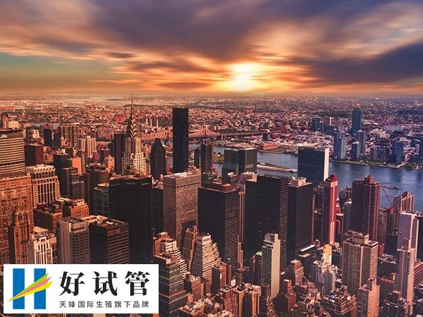 美国做试管婴儿成功率可以达到百分之八十五