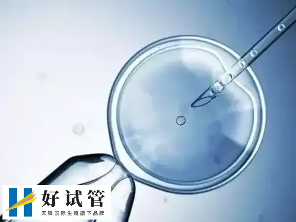 选择正规的医院可避免做试管的风险